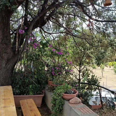 Villaloddo4 Marina Di Cap 08047 Dietro Ristorante La Grotta * Tertenìa